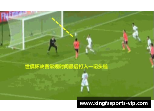 维达：从球场巅峰到人生新篇章