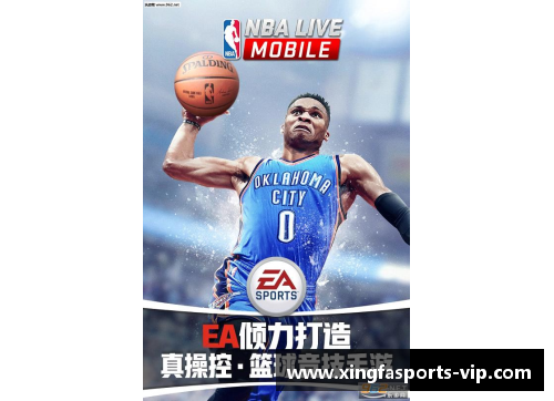 无法进入NBA赛场的原因与解决方案全解析