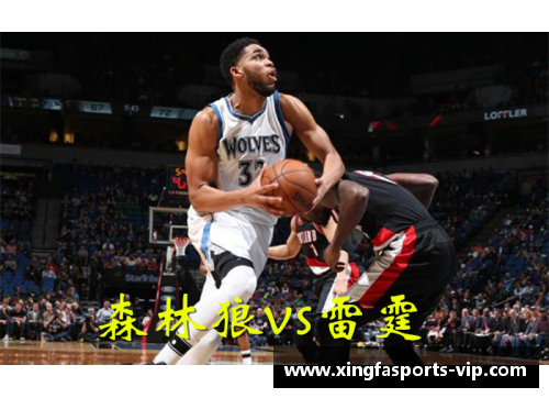 徐州篮球新风尚 NBA发展带来的机遇与挑战分析