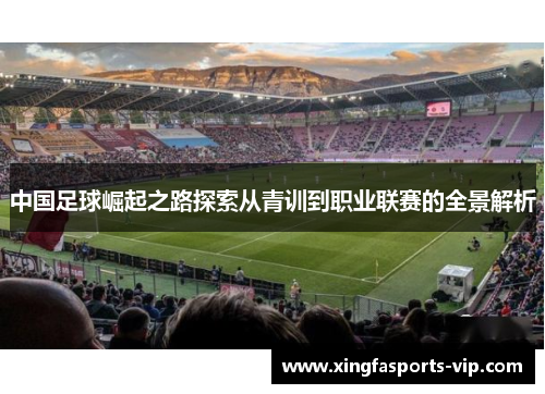 中国足球崛起之路探索从青训到职业联赛的全景解析